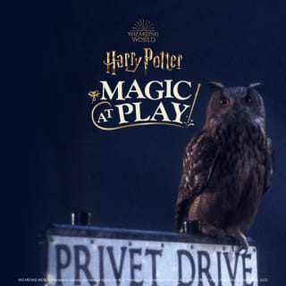 Harry Potter™: Magic at Play 3
