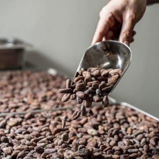 Visita guidata e degustazione da KAICAO Chocolate Lab 1