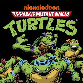TMNT: Heroes in a Half Shell 1