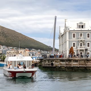 30min Harbour Boat Cruise Cape Town 7