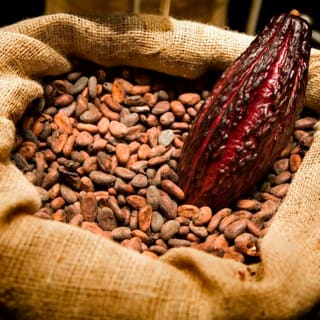 Chocolate making workshop experience in Mijas 4