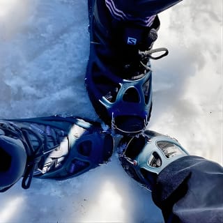 4 hours Winter View of the Oslofjord Walk Tour  4