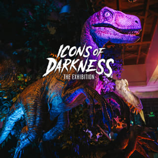 Icons of Darkness 5