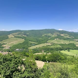 Colline del Chianti: Experiencia enológica desde Florencia 5