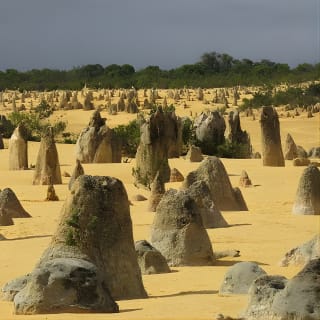 Wave Rock and Pinnacles Air & Ground Tour 7