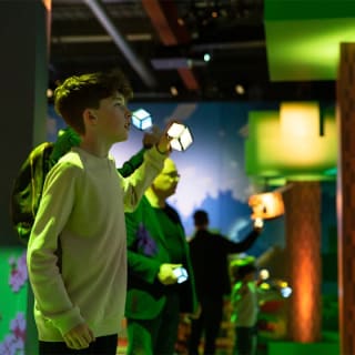 Minecraft Experience: Villager Rescue CDMX - Geschenkgutschein 6