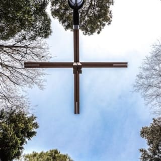 Isola di San Giorgio Maggiore: Tour del Bosco e delle Cappelle Vaticane 1