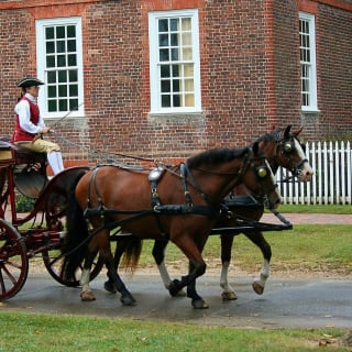 Williamsburg Colonial Adventure (PART 2) Outdoor Exploration Game 4