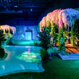 Monet: The Immersive Experience - Gift Card 3