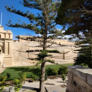 Best of Mdina and Rabat Walking Tour 1