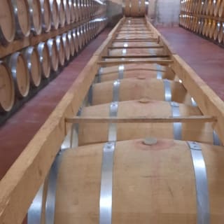 Mallorca: Führung durch Weinkellerei und Ölmühle + Verkostungen + Hin- und Rücktransfer 6