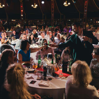 Magic Dinner Show 5