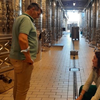 Mallorca: Führung durch Weinkellerei und Ölmühle + Verkostungen + Hin- und Rücktransfer 12