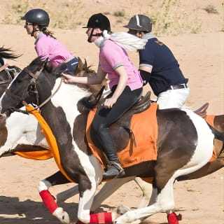 Jaipur Horse Riding Adventure 2