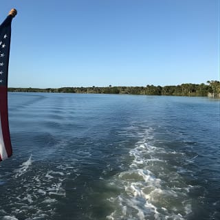 Wildlife Tour of Indian River Lagoon with Experienced Captain 5