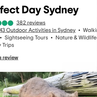 Wild Wombat et tournée du jour de kangourous depuis Sydney 3