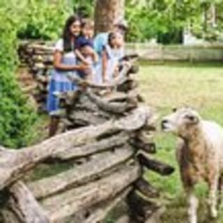 Colonial Williamsburg Admission 5