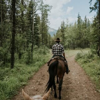 Buffalo Loop 1-Hour Horseback Trail Ride in Kananaskis 3