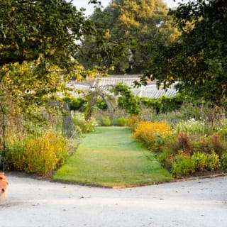 Garden history tour at Fulham Palace 3