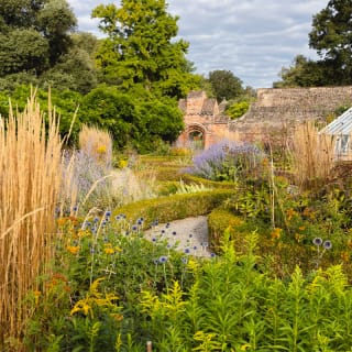 Garden history tour at Fulham Palace 6