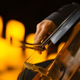 Candlelight : hommage à Tarkan 6