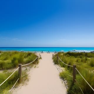 Traghetto veloce di andata e ritorno da Alcudia (Maiorca) a Minorca 8