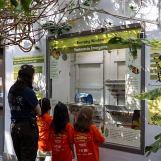Pacific Science Center: biglietto d'ingresso 12
