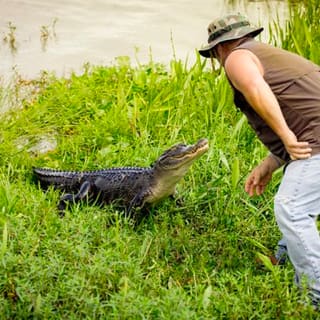 Airboat Ride with Round-Trip Transportation from New Orleans 2