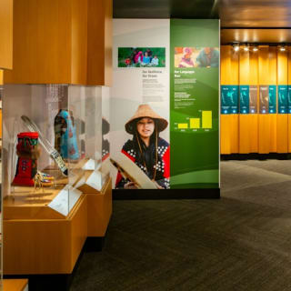 Museo Royal BC: Entrada 59