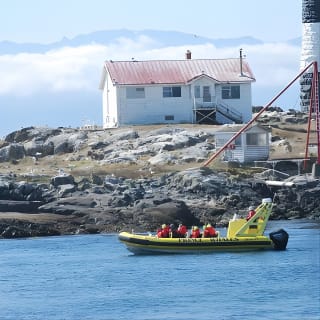Zodiac Whale Watching Adventure from Victoria 10