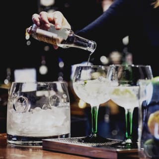 Gin and tonic tasting at Vinopremier 3