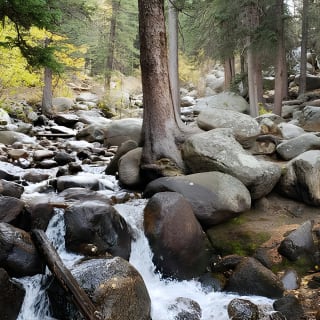 Excursión compartida de medio día por las montañas de Red Rocks Evergreen y Echo Lake 18