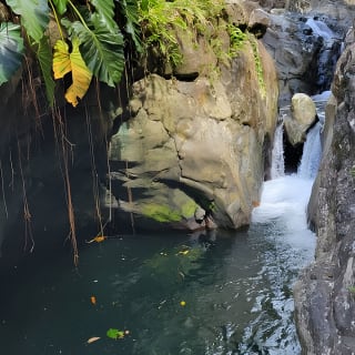 El Yunque Rainforest and Luquillo Kiosk Day Trip 3