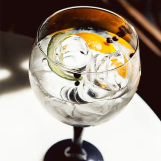 Gin and tonic tasting at Vinopremier 1