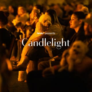 Candlelight Paws: A Dog-Friendly Classical Concert 1