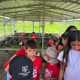 Eco Friendly Farming Tour to Explore Dorado's Most Beautiful Farm 17