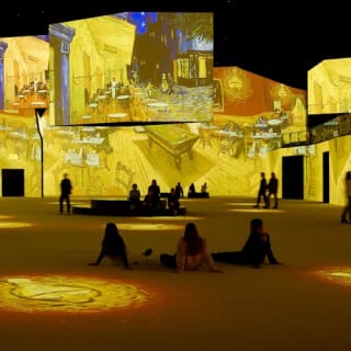 THE LUME Melbourne: Van Gogh Exhibition Entry 5