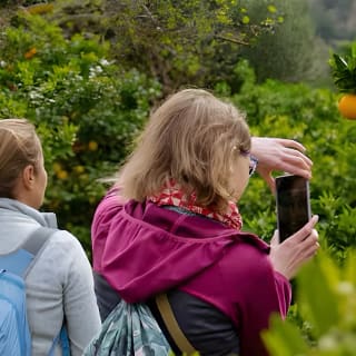 Soller Valley Walk with Orange Farm Visit 20