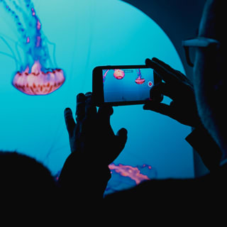 Descubre el Aquarium de Barcelona 3