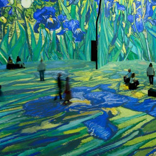 THE LUME Melbourne: Van Gogh Exhibition Entry 6