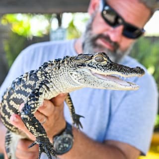 Paquete de Aventura en los Everglades de Florida 1