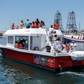30min Harbour Boat Cruise Cape Town 8