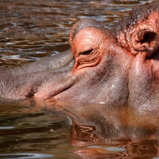¡Entradas para el Zoo Aquarium de Madrid! 4