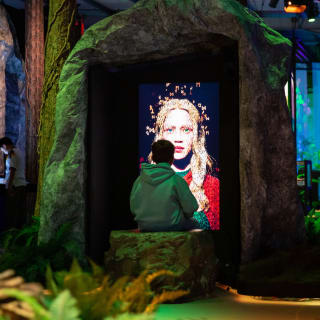 Vikings: The Immersive Experience 5
