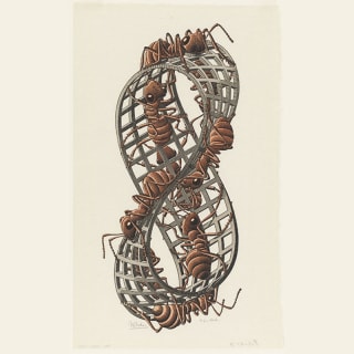 M. C. Escher - L’Esposizione - Carta regalo 4