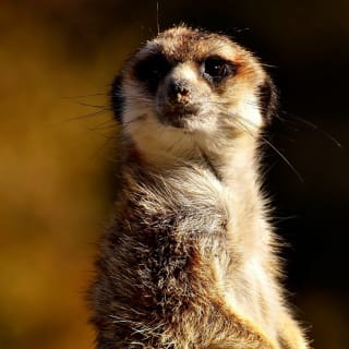 ¡Entradas para el Zoo Aquarium de Madrid! 1