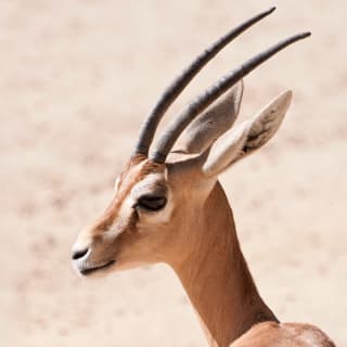 ¡Entradas para el Zoo Aquarium de Madrid! 5