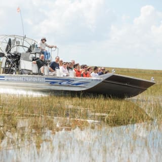 Paquete de Aventura en los Everglades de Florida 3