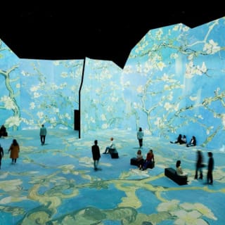 THE LUME Melbourne: Van Gogh Exhibition Entry 7