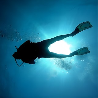 Bajo un mar de aventuras, inmersiones inolvidables. 15